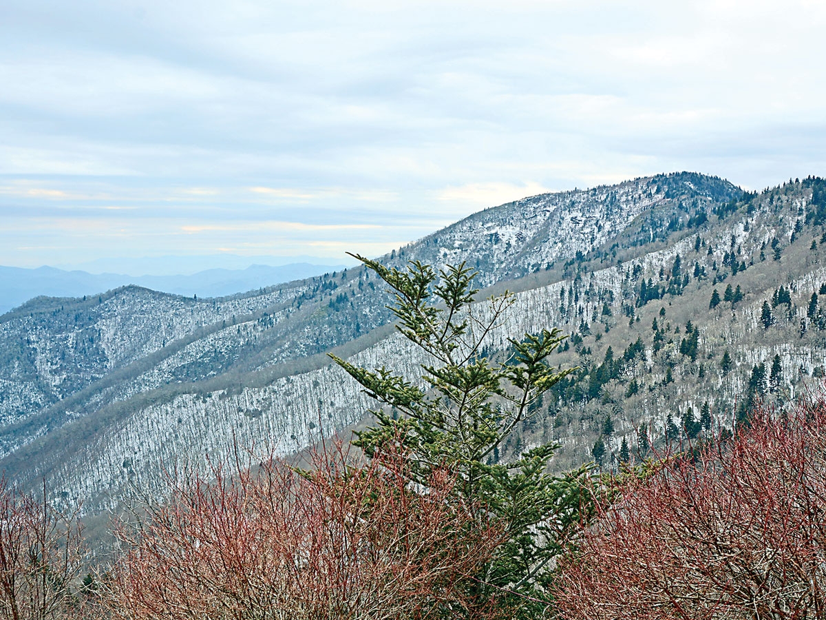 Winter begins on the Parkway