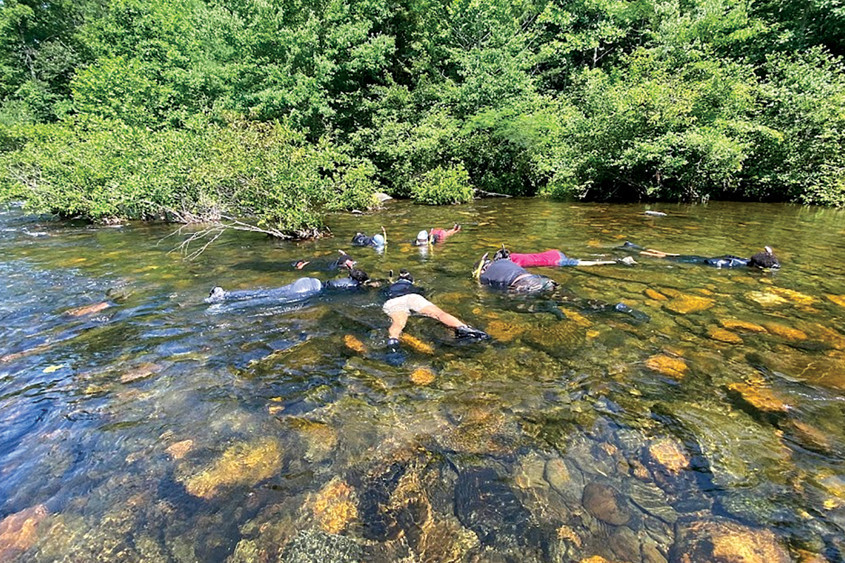 Snorklers explore the underwater world of a Western North Carolina stream. 