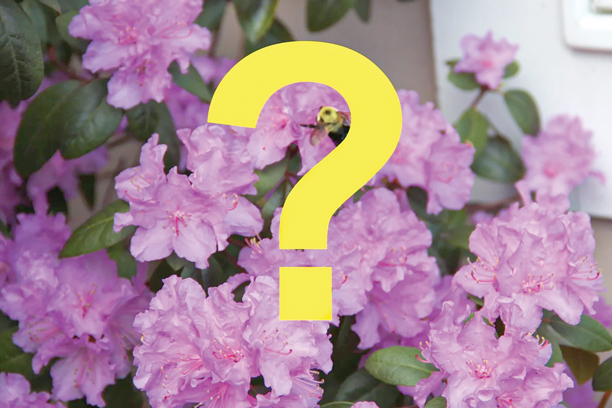 Master gardeners available to answer questions