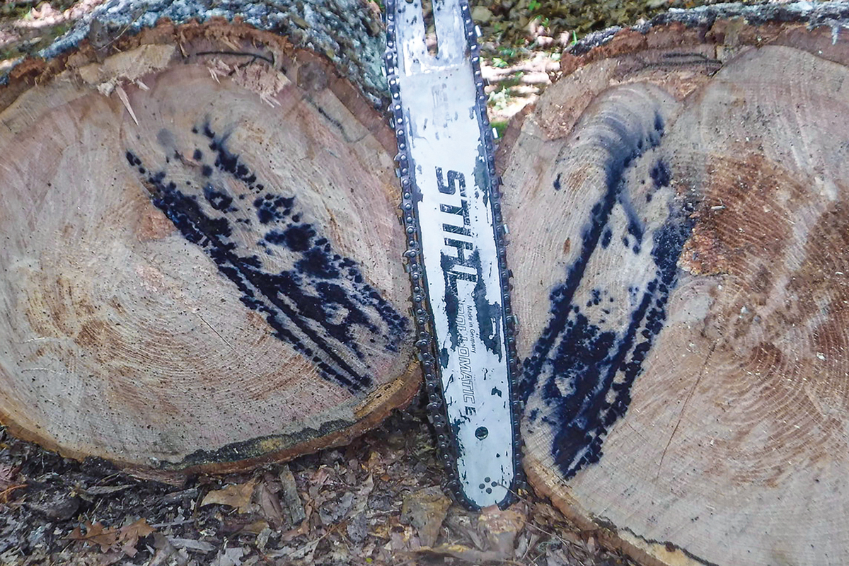 The oak log pinched the saw bar, the hot bar branded the log. Burt Kornegay photo