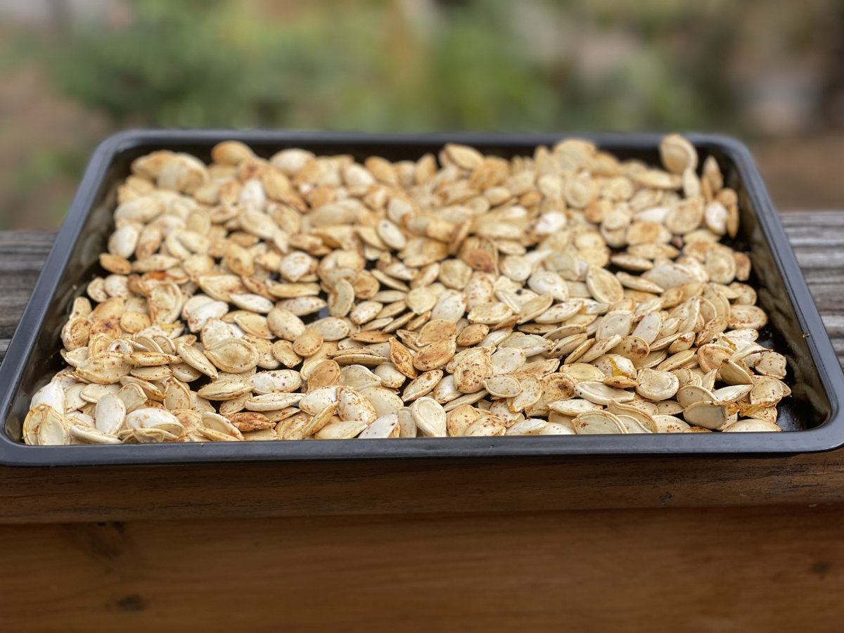 Roasting Pumpkin Seeds