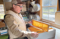 Dodging the honeypot: Local beekeepers feel the sting of counterfeit honey