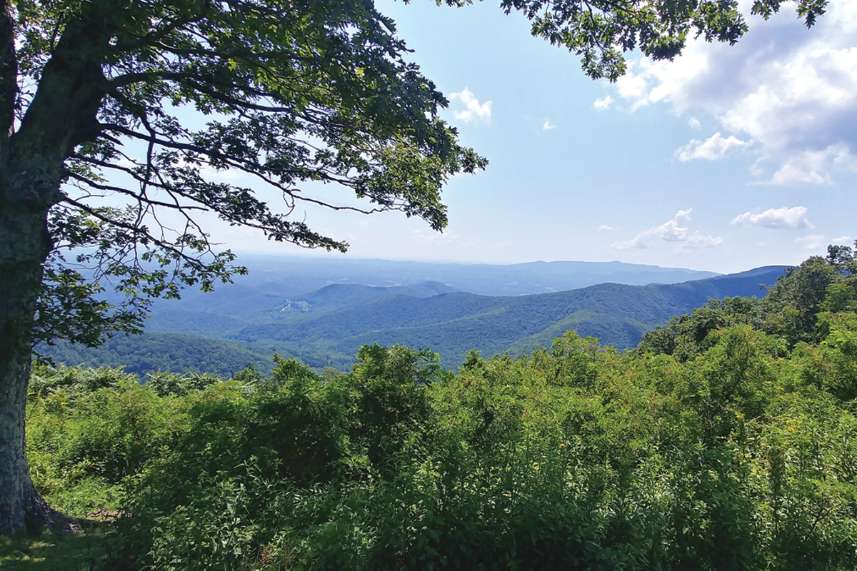 Haywood County contains 46 miles of the Blue Ridge Parkway. Garret K. Woodward photo