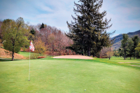 This must be the place: Ode to the old man, ode to the game of golf