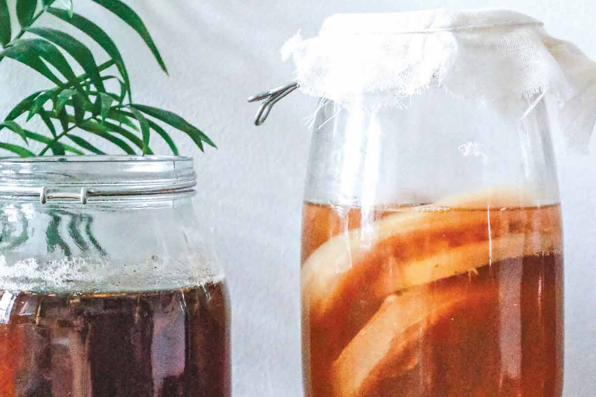 Sponsored: Kombucha and gut health