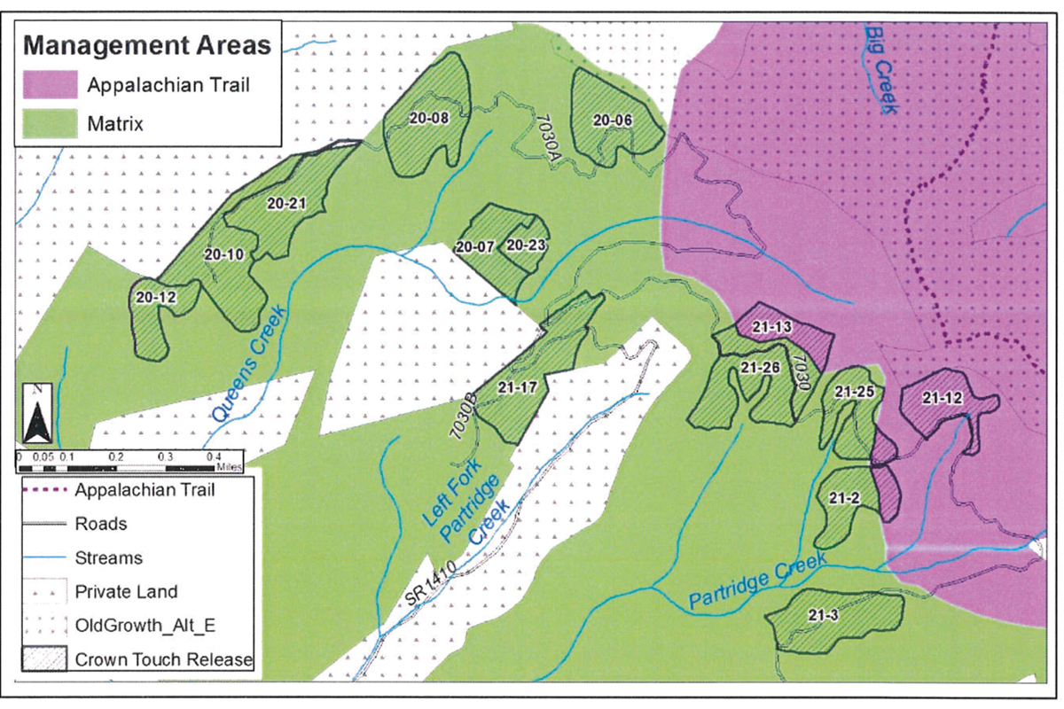 Forest thinning proposed near Tellico Gap