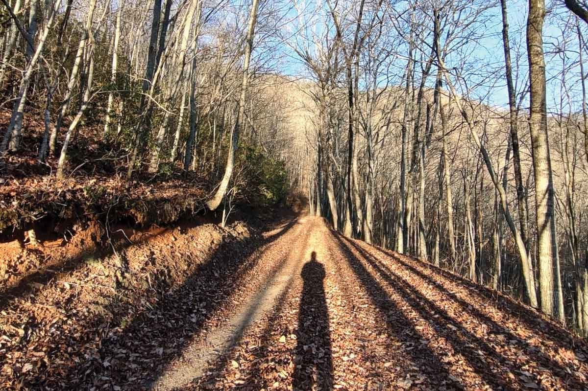 Trail running in Haywood County. (Garret K. Woodward photo)